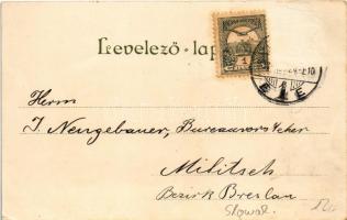 1900 Pozsony, Pressburg, Bratislava; Ligeti díszkert / Aupark. G. Rüger & Co. No. 9503. Art Nouv...