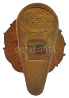~1930. "DAK (Délvidéki Aero Klub)" zománcozott bronz gomblyukjelvény, hátoldalon "JER...