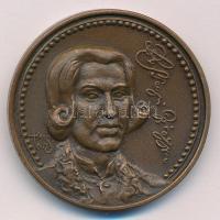 Tóth Sándor (1933-2019) DN Bessenyei György Tanárképző Főiskola Nyíregyháza bronz emlékérem (42,5mm) T:1