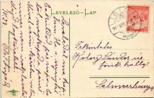 Iglófüred, Spisská Nová Ves Kupele, Novovesské Kúpele; Mercur villa és Mariska lak. Wlaszlovits Gusz...