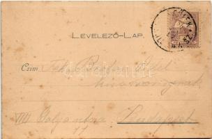 1900 Várgede, Várgedefürdő, Kúpele Hodejov, Hodejov; Fürdő és gyógytermek, Csevicze kút (vasas savan...