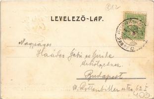 1902 Dobsina, Dobschau; Dobsinai jégbarlang, Jégbarlangi szálloda. Fejér E. kiadása / Hotel zur Eish...