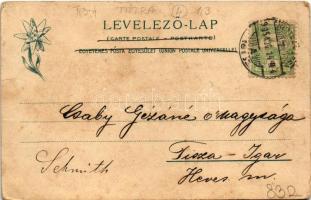 1905 Lucsivna, Lautschburg, Lucivná (Magas-Tátra, Vysoké Tatry); Irma nyaraló. Feitzinger Ede 1902/1...