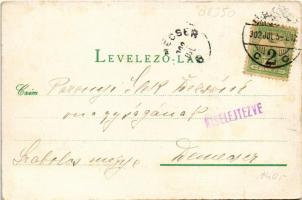 1902 Stószfürdő, Stoósz-fürdő, Kúpele Stós; Berta-lak, Polonia, Mária villa. Wlaszlovits Gusztáv No....