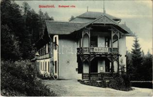 1907 Stószfürdő, Stoósz-fürdő, Kúpele Stós; Budapest villa. Wlaszlovits Gusztáv kiadása 6025. / villa