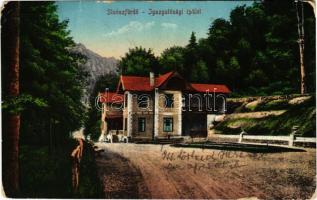 1917 Stószfürdő, Stoósz-fürdő, Kúpele Stós; Igazgatósági épület. Wlaszlovits Gusztáv kiadása 138. / spa directorate office (EM)