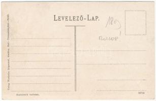 Trencsénteplic, Trencianske Teplice; Szanatórium. Wertheim Zsigmond kiadása / sanatorium (ázott / we...