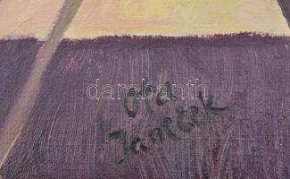 Ota Janecek (1919-1996): Este. Olaj, vászon. Jelezve középen lent. Hátoldalán autográf felirattal. 4...