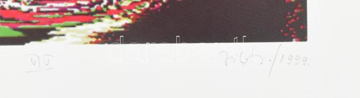 Bitó Ildikó (1966-): Szakadás. Szitanyomat, papír. Jelzett. Számozott: V/V. 25x25 cm