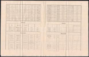 1914 augusztus 23 Veszteség lajstrom az elesettekről Nr. 6. A monarchia összes nyelvén / News about ...