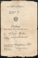 1919 Ógyalla (Hurbanovo/Stará Ďala), fényképes igazolójegy magántisztviselő részére (Legitimations-K...