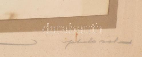 Nyáregyházi báró Nyáry család egy fiatal hölgy tagját megörökítő, színezett fotó, Szentes Géza Györg...