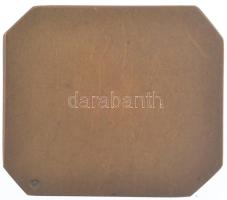 1914. "Honvéd roham" egyoldalas bronz plakett, hátoldalán "BSW (Bruder Schneider Wien...