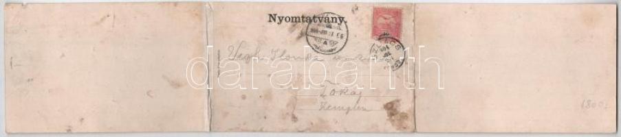 1904 Szliács, Sliac; Hungária, Buda és Pest szállodák, Fürdőigazgatóság. Ilona műintézet kiadása - H...