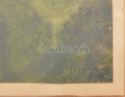 Nyáregyházi báró Nyáry Pál (?-?): Makovica vára (Zboró).. Akvarell, papír. Jelzett. Üveg mögött. 12,...