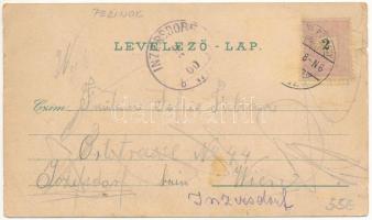 1900 Bazin, Bösing, Bözing, Pezinok; Fő tér, Vasfürdő, templom / Eisenbad / main square, church, spa...