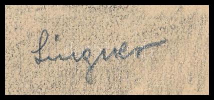 Lingner György (?-?), működött a XX. sz. elején.közepén: Falusi ház. Ceruza, papír, jelzett, lapszél...