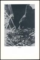 Kondor Béla. Bp., é.n. (1995), Pestszentlőrinc-Pestszentimre Önkormányzata. 46 p. Fekete-fehér képek...