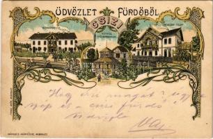 1899 (Vorläufer) Csíz, Csízfürdő, Kúpele Cíz; Szanatórium, kútház ivócsarnokkal, Nedeczky telep. Fogel Mór kiadása. Márkus D. műintézete / spa, sanatorium, spring source, villa. Art Nouveau, floral, litho (EK)