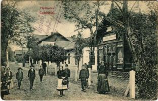 1910 Csíz, Csízfürdő, Kúpele Cíz; Fürdő utca, nyaraló. Szoyka Pál kiadása / spa, street view, villa (EK)