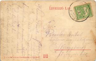 1910 Csíz, Csízfürdő, Kúpele Cíz; Fürdő utca, nyaraló. Szoyka Pál kiadása / spa, street view, villa ...