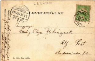 1907 Stubnyafürdő, Túróchévíz, Stubnianske Teplice, Turcianske Teplice; Kertész lak. Kohn Ede kiadás...