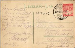 1917 Bártfa, Bártfafürdő, Bardejovské Kúpele, Bardiov, Bardejov; Dr. Patek villa / villa (EB)