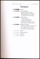 Vadas József: A magyar konstruktivízmus. Bp., 2007. Corvina. Kiadói papírkötésben