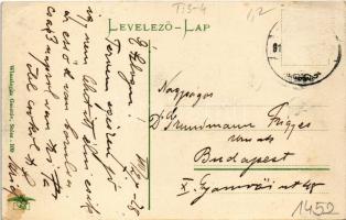 Stószfürdő, Stoósz-fürdő, Kúpele Stós; Budapest villa. Wlaszlovits Gusztáv kiadása 109. / villa (Rb)