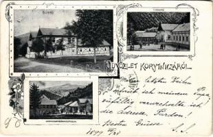 1899 (Vorläufer) Koritnyica, Korytnica; Duna nyaraló, fürdőház, fürdő nyugati oldala / villa, spa, bath. Art Nouveau, floral (fa)