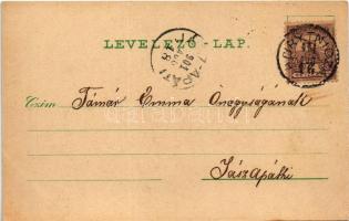 1901 Koritnyica, Korytnica; Zsófia forrás, Új gyógyház Hygiea / spring source, spa, bath, villa. Sch...