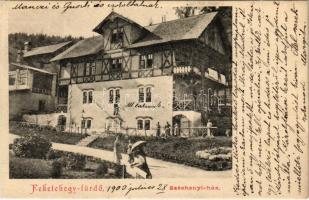 1903 Feketehegy-fürdő, Feketehegy, Schwartzenberg, Cernohorské kúpele (Merény, Vondrisel, Nálepkovo); Széchenyi ház / villa (EK)