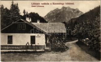 Koronahegyifürdő, Koronahegyfürdő, Vöröskolostor-fürdő, Smerdzonka (Alsólehnic, Cerveny Klástor); Littmann szálloda a Koronahegy háttérrel / hotel, villa, mountain (Rb)