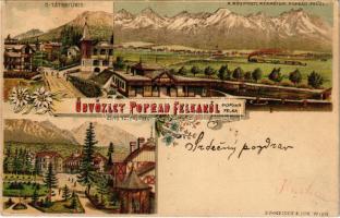 1898 (Vorläufer) Felka, Poprád-Felka, Velká pod Tatrou, Poprad-Velká (Tátra, Magas-Tátra, Vysoké Tatry); Üdvözlet Poprád-Felkáról. Ó-Tátrafüred, Alsótátrafüred, Központi Kárpátok Poprád felől, vonat, gőzmozdony / Altschmecks, Unter-Schmecks / Stary Smokovec, Dolny Smokovec / general view, train, locomotive. Schneider & Lux Art Nouveau, floral, litho (EK)