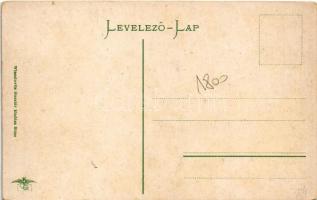 Barlangliget, Höhlenhain, Tatranská Kotlina (Tátra, Magas-Tátra, Vysoké Tatry); Szepesbéla nyaraló, ...