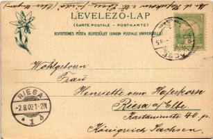 1902 Lőcsefüred, Lőcse-fürdő, Levocské Kúpele (Lőcse, Levoca); Fürdőház, nyaraló. Feitzinger Ede 190...