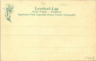 Thurzófüred, Kupele Turzo (Gölnicbánya, Gelnica); Bányász nyaraló. Feitzinger Ede 1902/12. 452. Psl....