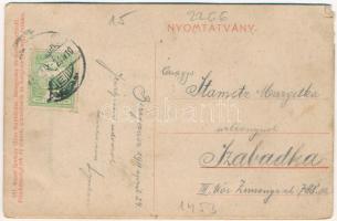 1911 Szobránc-fürdő, Kúpele Sobrance; Fürdő a gyógykúttal. leporellólap 10 képpel: Gáborháza és Istv...