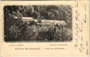 1900 Kisszeben, Sabinov, Zeben; Svabluvka kénfürdő. Stehr Gusztáv felvétele és kiadása / "Svabluvka" Schwefel-Bad / sulfur spa, bath