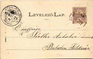 1900 Kisszeben, Sabinov, Zeben; Svabluvka kénfürdő. Stehr Gusztáv felvétele és kiadása / "Svabl...