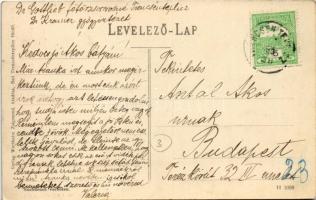 Trencsénteplic, Trencianske Teplice; Vendéglő a Nagy Baracskához, étterem terasza vendégekkel és pin...