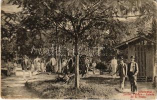 1909 Jaboticabal (Sao Paulo), Jardim Publico / park, garden (small tear)