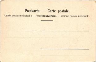 St. Antönien (Sankt Antönien), Pension Dönz, Lötscher / hotel. Künstlerpostkarte Verlag Chr. Meisser...