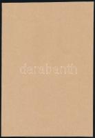 1933 Az 1930. évi cseh népszámlálás erőszakos hamisításai 14p. Pótolt papírborítóval