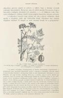 Szutórisz Frigyes: A növényvilág és az ember. Művelődéstörténeti tanulmányok. Bp., 1905, K.M. Termés...
