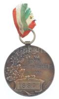 1931. "200m női mellúszás I. - 1931" jelzetlen Ag díjérem "HP" gyártói jelzéssel, kis szalaggal (12,47g/29mm) T:1-,2 patina / Hungary 1931. "200m women's breaststroke I. - 1931" unmarked Ag medallion with "HP" maker's mark (12,47g/29mm) C:AU,XF patina