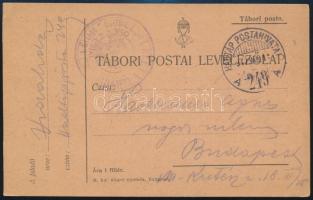 1917 Tábori posta levelezőlap "Oblt. von CSIKI" + "HP 249 A", 1917 Field postcard "Oblt. von CSIKI" + "HP 249 A"