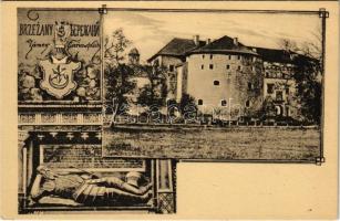 Berezhany, Brzezany, Berezsani; Zamek Sieniawskich / castle