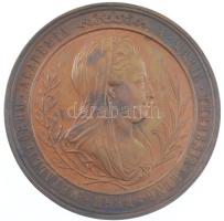 Carl Radnitzky (1818-1901) 1870. "A Selmecbányai Bányászati és Erdészeti Akadémia 100. évfordul...