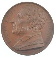 Franciaország 1818. Joseph Louis Lagrange bronz emlékérem. Szign.: Donadio (41mm) T:1- / France 1818. Joseph Louis Lagrange bronze commemorative medallion. JOSEPH LOUIS LAGRANGE / NÉ - A TURIN - EN M.DCC.XXXVL - MORT - EN M.DCCC.XIII. - GALERIEL METALLIQUE - DES GRANDS HOMMES FRANCAIS. - 1818. Sign.: Donadio (41mm) C:AU